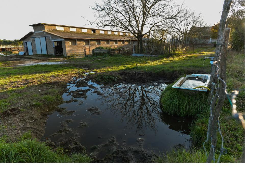 La Mola Di Campagnano Villa Campagnano Di Roma Eksteriør bilde